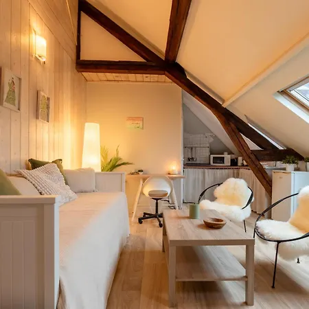 Vue Exceptionnelle Cathedrale - Hypercentre - 4 Personnes